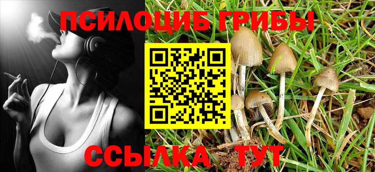 БУТИРАТ Элиста