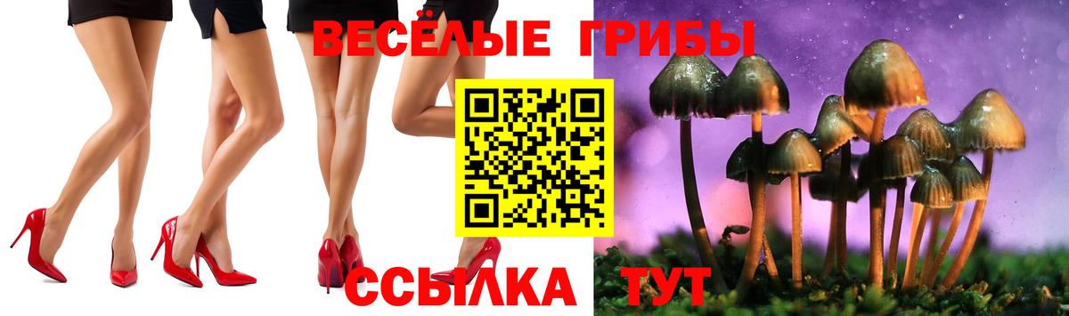 Галлюциногенные грибы Psilocybe  Вход с VPN  Элиста 